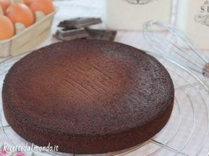 pan di spagna al cioccolato